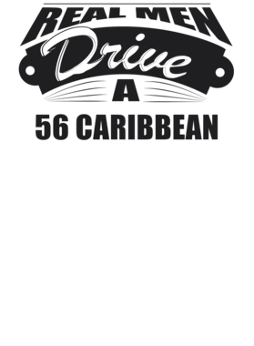 https://s3.us-west-1.wasabisys.com/ecart-content/cargeektees.com/overlays/226/987/22698716.png img