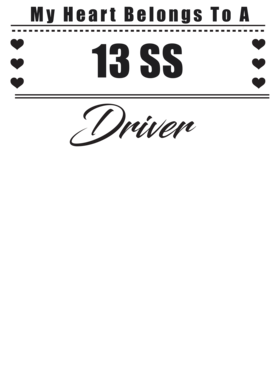 https://s3.us-west-1.wasabisys.com/ecart-content/cargeektees.com/overlays/227/500/22750072.png img