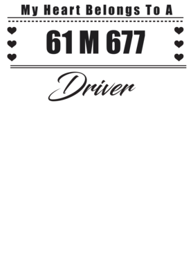 https://s3.us-west-1.wasabisys.com/ecart-content/cargeektees.com/overlays/227/536/22753667.png img