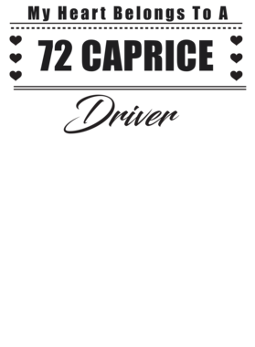 https://s3.us-west-1.wasabisys.com/ecart-content/cargeektees.com/overlays/227/563/22756373.png img