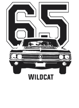https://s3.us-west-1.wasabisys.com/ecart-content/cargeektees.com/overlays/227/917/22791753.png img