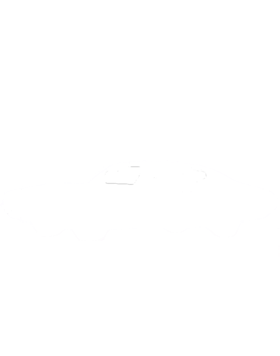 https://s3.us-west-1.wasabisys.com/ecart-content/cargeektees.com/overlays/232/429/2324295.png img