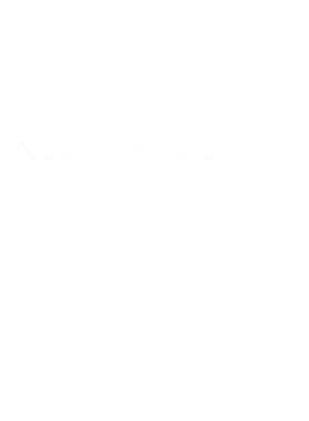 https://s3.us-west-1.wasabisys.com/ecart-content/cargeektees.com/overlays/234/226/23422644.png img