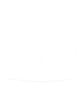 https://s3.us-west-1.wasabisys.com/ecart-content/cargeektees.com/overlays/240/134/2401346.png img