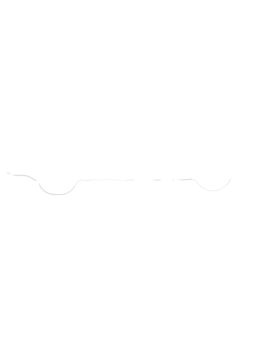 https://s3.us-west-1.wasabisys.com/ecart-content/cargeektees.com/overlays/240/139/2401396.png img