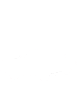 https://s3.us-west-1.wasabisys.com/ecart-content/cargeektees.com/overlays/240/448/2404483.png img