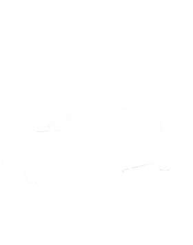 https://s3.us-west-1.wasabisys.com/ecart-content/cargeektees.com/overlays/245/360/2453608.png img