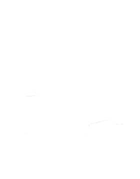 https://s3.us-west-1.wasabisys.com/ecart-content/cargeektees.com/overlays/245/360/2453609.png img