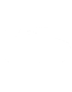 https://s3.us-west-1.wasabisys.com/ecart-content/cargeektees.com/overlays/245/364/2453643.png img