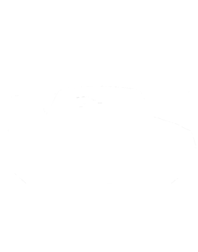 https://s3.us-west-1.wasabisys.com/ecart-content/cargeektees.com/overlays/245/364/2453647.png img