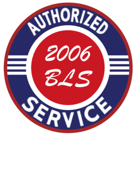 https://s3.us-west-1.wasabisys.com/ecart-content/cargeektees.com/overlays/246/535/2465355.png img