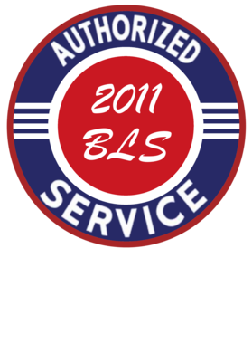 https://s3.us-west-1.wasabisys.com/ecart-content/cargeektees.com/overlays/246/538/2465385.png img