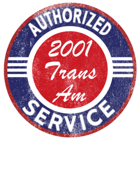 https://s3.us-west-1.wasabisys.com/ecart-content/cargeektees.com/overlays/246/785/2467851.png img