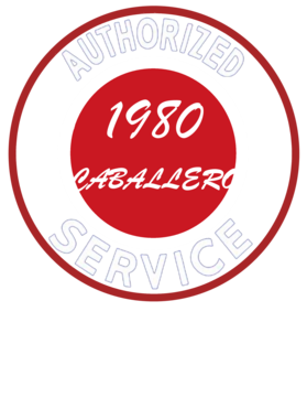 https://s3.us-west-1.wasabisys.com/ecart-content/cargeektees.com/overlays/246/801/2468014.png img