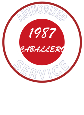 https://s3.us-west-1.wasabisys.com/ecart-content/cargeektees.com/overlays/246/804/2468049.png img