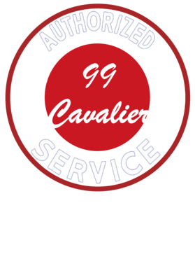 https://s3.us-west-1.wasabisys.com/ecart-content/cargeektees.com/overlays/246/908/2469087.png img