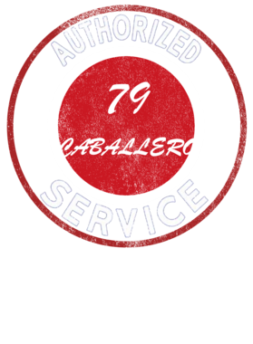 https://s3.us-west-1.wasabisys.com/ecart-content/cargeektees.com/overlays/247/646/2476469.png img