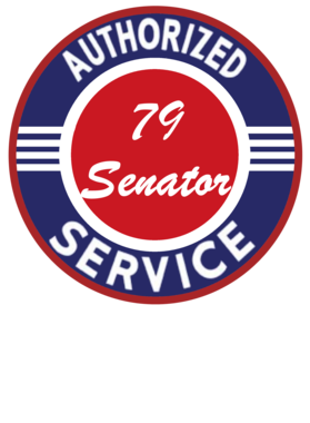 https://s3.us-west-1.wasabisys.com/ecart-content/cargeektees.com/overlays/248/095/2480954.png img