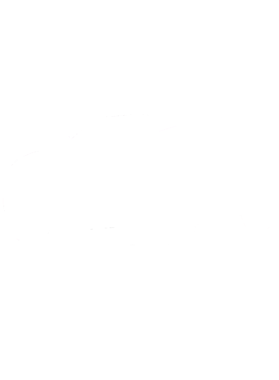 https://s3.us-west-1.wasabisys.com/ecart-content/cargeektees.com/overlays/248/240/24824085.png img