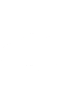 https://s3.us-west-1.wasabisys.com/ecart-content/cargeektees.com/overlays/248/241/24824100.png img