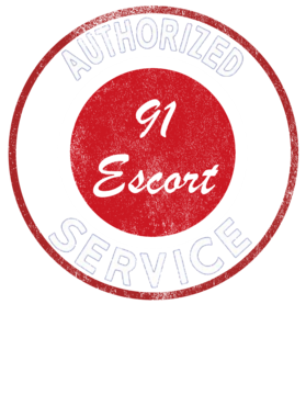 https://s3.us-west-1.wasabisys.com/ecart-content/cargeektees.com/overlays/248/526/2485266.png img