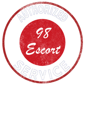 https://s3.us-west-1.wasabisys.com/ecart-content/cargeektees.com/overlays/248/528/2485283.png img