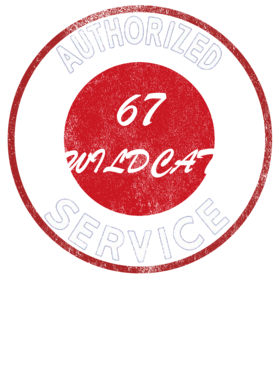https://s3.us-west-1.wasabisys.com/ecart-content/cargeektees.com/overlays/250/866/2508662.png img