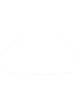 https://s3.us-west-1.wasabisys.com/ecart-content/cargeektees.com/overlays/250/875/2508751.png img
