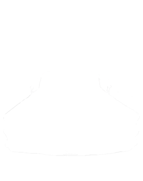 https://s3.us-west-1.wasabisys.com/ecart-content/cargeektees.com/overlays/250/875/2508754.png img