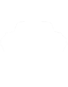https://s3.us-west-1.wasabisys.com/ecart-content/cargeektees.com/overlays/250/878/2508788.png img