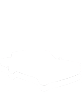 https://s3.us-west-1.wasabisys.com/ecart-content/cargeektees.com/overlays/251/201/2512017.png img