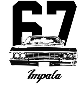 https://s3.us-west-1.wasabisys.com/ecart-content/cargeektees.com/overlays/252/566/25256621.png img