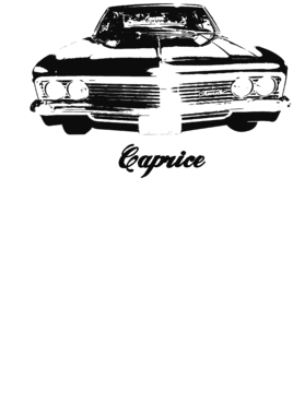 https://s3.us-west-1.wasabisys.com/ecart-content/cargeektees.com/overlays/258/732/25873202.png img