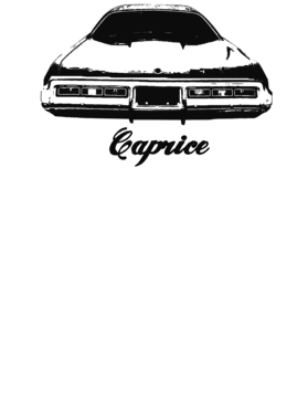 https://s3.us-west-1.wasabisys.com/ecart-content/cargeektees.com/overlays/258/733/25873390.png img