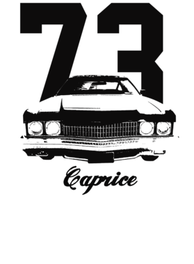 https://s3.us-west-1.wasabisys.com/ecart-content/cargeektees.com/overlays/258/734/25873458.png img