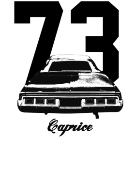 https://s3.us-west-1.wasabisys.com/ecart-content/cargeektees.com/overlays/258/734/25873470.png img