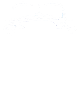https://s3.us-west-1.wasabisys.com/ecart-content/cargeektees.com/overlays/259/175/25917567.png img