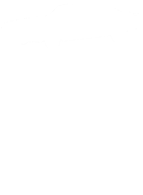 https://s3.us-west-1.wasabisys.com/ecart-content/cargeektees.com/overlays/259/179/25917954.png img