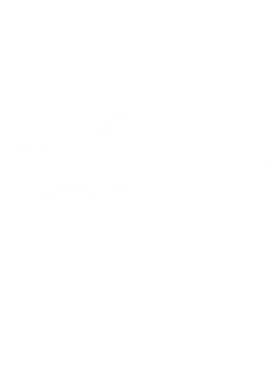 https://s3.us-west-1.wasabisys.com/ecart-content/cargeektees.com/overlays/259/180/25918091.png img