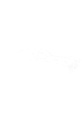 https://s3.us-west-1.wasabisys.com/ecart-content/cargeektees.com/overlays/259/451/25945122.png img