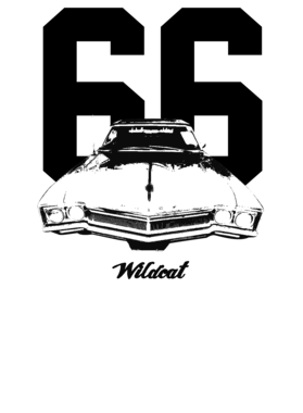 https://s3.us-west-1.wasabisys.com/ecart-content/cargeektees.com/overlays/260/543/26054323.png img