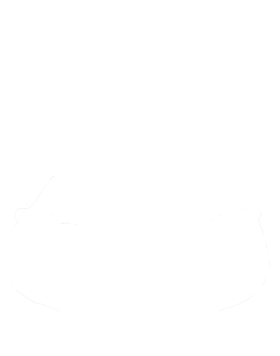 https://s3.us-west-1.wasabisys.com/ecart-content/cargeektees.com/overlays/262/700/2627000.png img