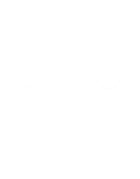 https://s3.us-west-1.wasabisys.com/ecart-content/cargeektees.com/overlays/262/704/2627047.png img