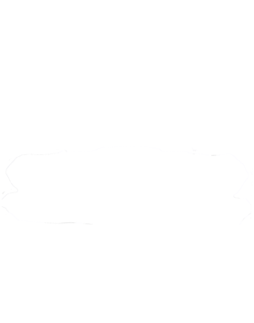 https://s3.us-west-1.wasabisys.com/ecart-content/cargeektees.com/overlays/262/731/2627314.png img