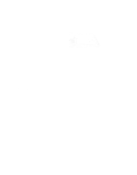 https://s3.us-west-1.wasabisys.com/ecart-content/cargeektees.com/overlays/263/026/2630264.png img