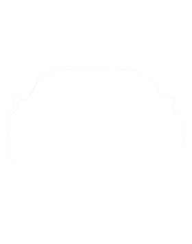 https://s3.us-west-1.wasabisys.com/ecart-content/cargeektees.com/overlays/263/029/2630295.png img