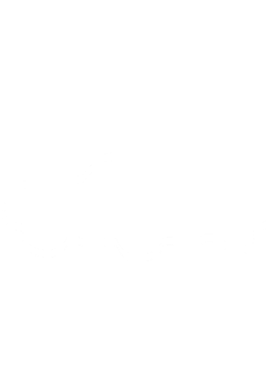 https://s3.us-west-1.wasabisys.com/ecart-content/cargeektees.com/overlays/264/340/2643400.png img