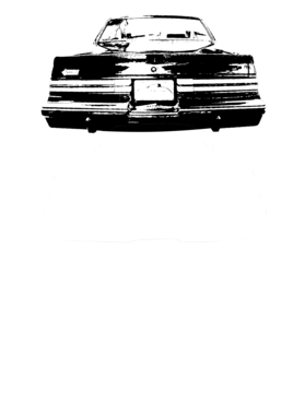 https://s3.us-west-1.wasabisys.com/ecart-content/cargeektees.com/overlays/269/698/26969894.png img