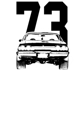 https://s3.us-west-1.wasabisys.com/ecart-content/cargeektees.com/overlays/269/710/26971008.png img