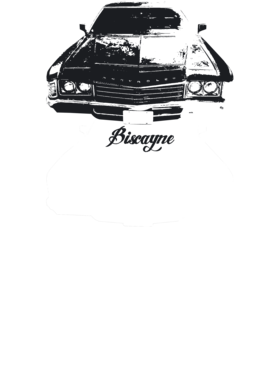 https://s3.us-west-1.wasabisys.com/ecart-content/cargeektees.com/overlays/270/226/27022615.png img